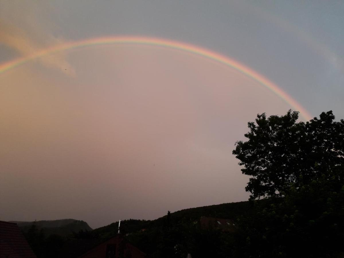 Vila Elfenhaeuschen Mit 3 Dtv Sternen Ausgezeichnet Bad Harzburg Exteriér fotografie
