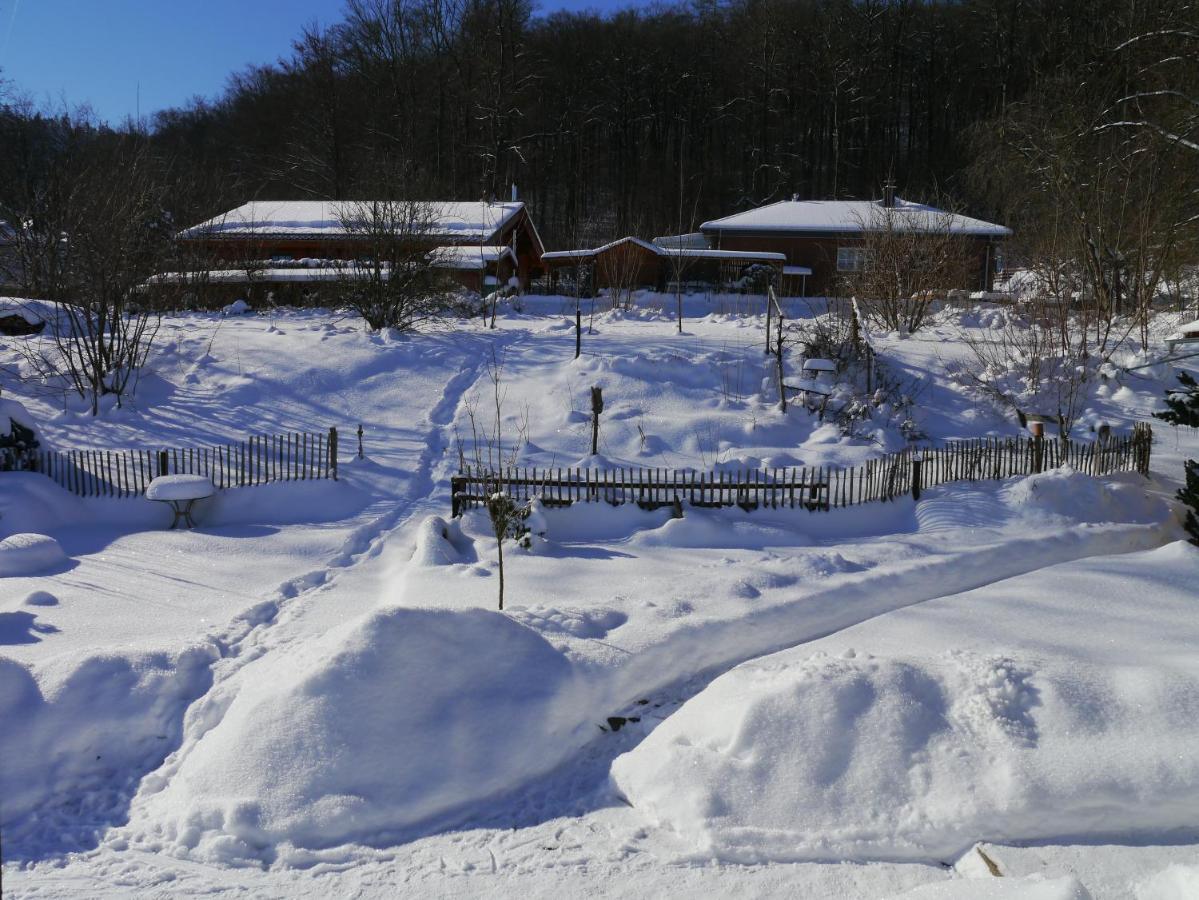 Vila Elfenhaeuschen Mit 3 Dtv Sternen Ausgezeichnet Bad Harzburg Exteriér fotografie