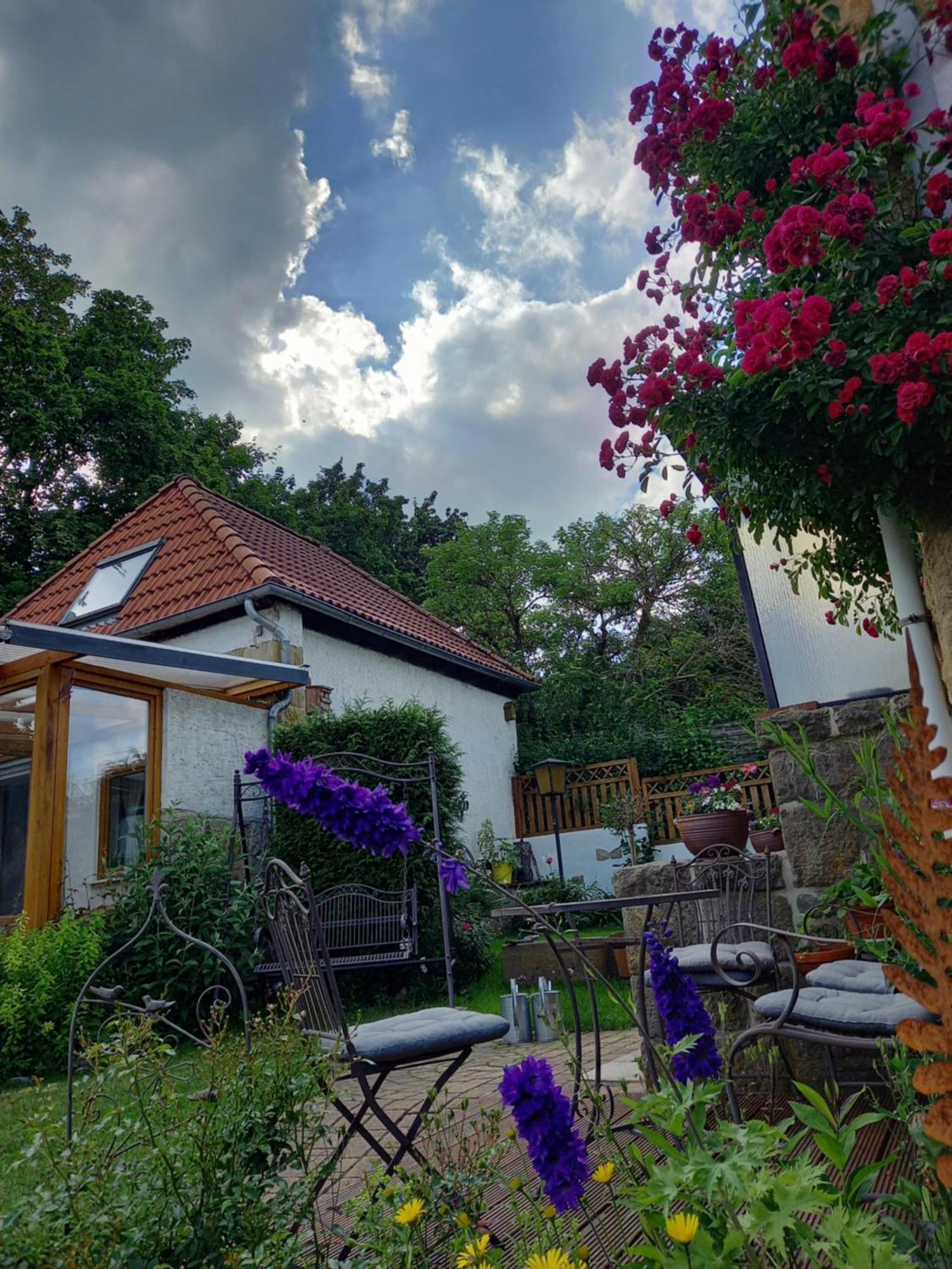 Vila Elfenhaeuschen Mit 3 Dtv Sternen Ausgezeichnet Bad Harzburg Exteriér fotografie