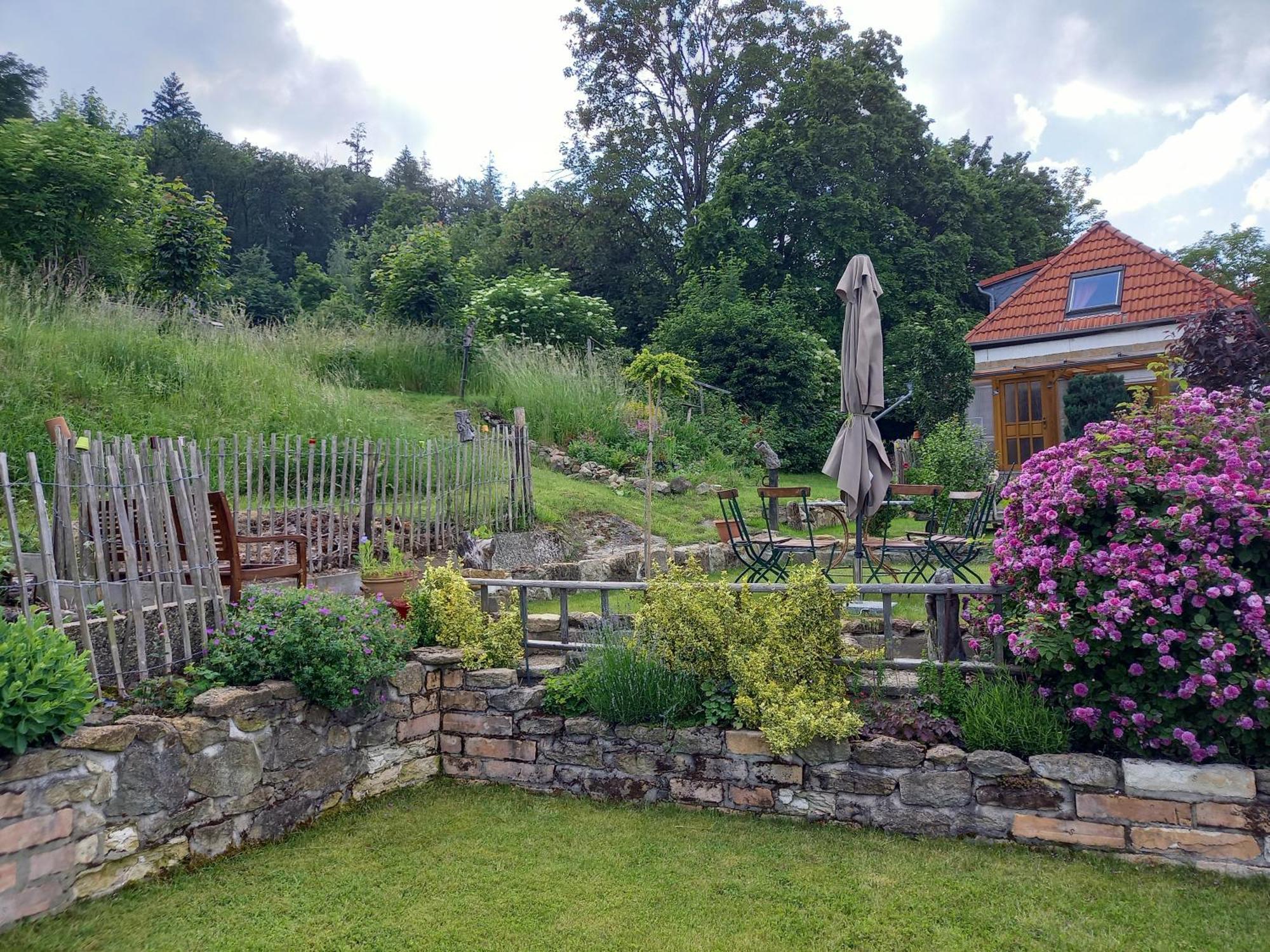 Vila Elfenhaeuschen Mit 3 Dtv Sternen Ausgezeichnet Bad Harzburg Exteriér fotografie